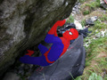 18dominic_spider_1.jpg