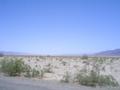 m_dsc00348.jpg