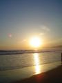 m_dsc00352.jpg