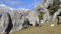 m_dsc00965.jpg
