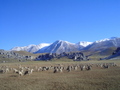 m_dsc00997.jpg