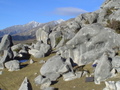 m_dsc01036.jpg