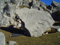 m_dsc01043.jpg
