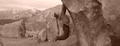m_dsc01113.jpg