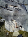 m_dsc01441.jpg