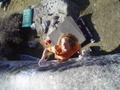 m_dsc01453.jpg