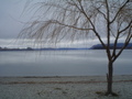 m_dsc01571.jpg