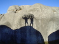 m_dsc01737.jpg