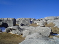 m_dsc01755.jpg