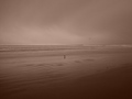 m_dsc02007.jpg
