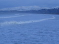 m_dsc02035.jpg