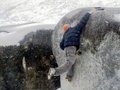 m_dsc02389.jpg