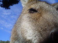 s_dsc02761.jpg