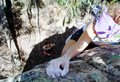 s_dsc02836.jpg