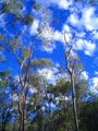 s_dsc03053.jpg