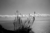 levanto-05.jpg