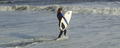 m_dsc00762.jpg