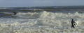 m_dsc007631.jpg