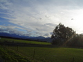 m_dsc00816.jpg