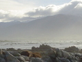 m_dsc00866.jpg