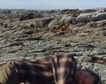 m_dsc00867.jpg