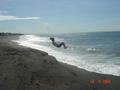 DSC00625.JPG