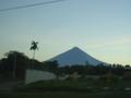 dsc00164.jpg