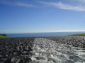 m_dsc00605.jpg