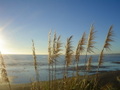 m_dsc00616.jpg