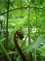 m_dsc00480.jpg