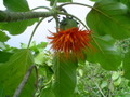 m_dsc00487.jpg