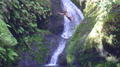 m_dsc005003.jpg