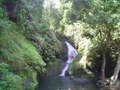 m_dsc00501.jpg
