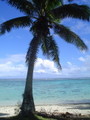 m_dsc00509.jpg