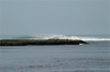 reunion-35.jpg