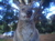 grampians