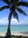 rarotonga
