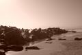 m_dsc00259.jpg