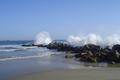 m_dsc00261.jpg