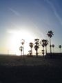 m_dsc00384.jpg
