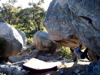 s_west-oz-02.jpg