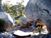 s_west-oz-03.jpg