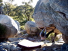 s_west-oz-04.jpg