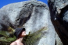 s_west-oz-10.jpg