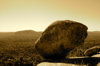 s_west-oz-11.jpg