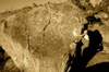 s_west-oz-13.jpg