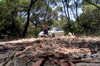 s_west-oz-17.jpg