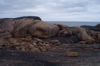 s_west-oz-22.jpg