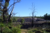 s_west-oz-40.jpg