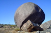 s_west-oz-42.jpg